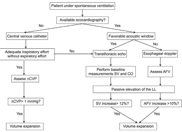 Figure 1- Algorithm for volume responsiveness for the spontaneous breathing patient.