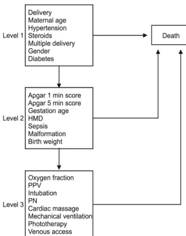 Figure  1  –  Hierarchical  model  death  risk  variables  list  for  neonatal intensive care unit