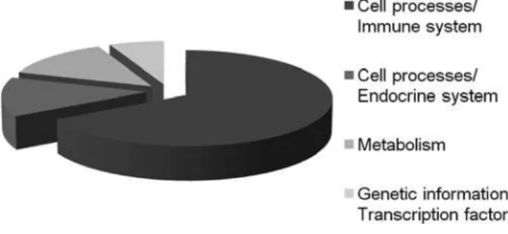 Figure 2 – Identified proteins relative functional distribu- distribu-tion. The reported categories were previously reported by  the Kyoto Encyclopedia of Genes and Genomes.