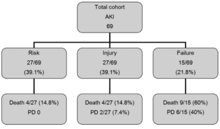Figure 3 – Distribution of the patients admitted to the inten- inten-sive care unit according to the maximal level of acute kidney  injury  during  the  time  of  stay  versus  death  rate  and  renal  replacement therapy need.