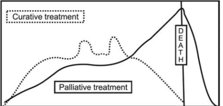 Figure 2 – Curative and palliative therapy phases. 
