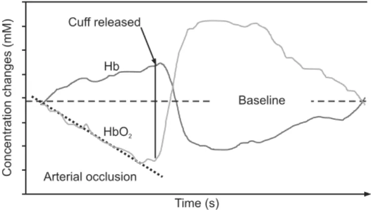 Figure 4 – Quantitative NIRS measurements during arterial  occlusion.  After release of the occluding cuf, blood volume  increases rapidly, resulting in an increase in HbO 2  and a quick  washout of Hb, followed by a hyperaemic response