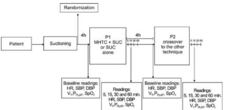 Figure 1 – Diagram of the study protocol.