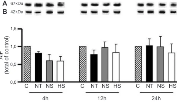 Figure 5 - Densitometric analysis of the hepatic protein expression of caspase-2L. 
