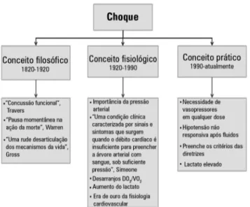 Figura 1 - Conceitos no choque.