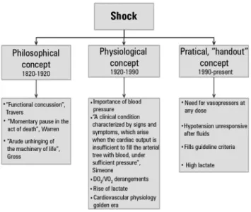 Figure 1 - Concepts in shock.