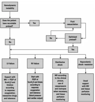 Figure 2 - Hemodynamic management algorithm suggested in mechanically  ventilated patients