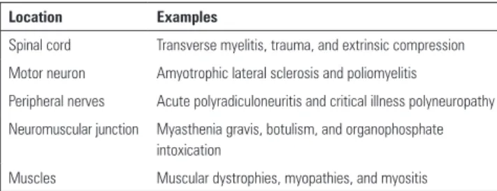 Table 1 - Location of the neuromuscular injuries and examples