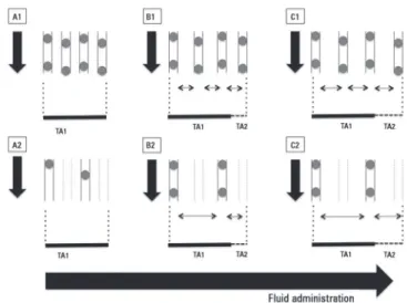 Figure 1 - Effects of adequate fluid administration on microvascular blood flow. 