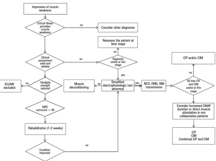 Figure 1 - Diagnostic algorithm for intensive care unit acquired muscle weakness (ICUAW)