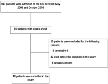 Figure 1 - Study flowchart.  ICU - intensive care unit.