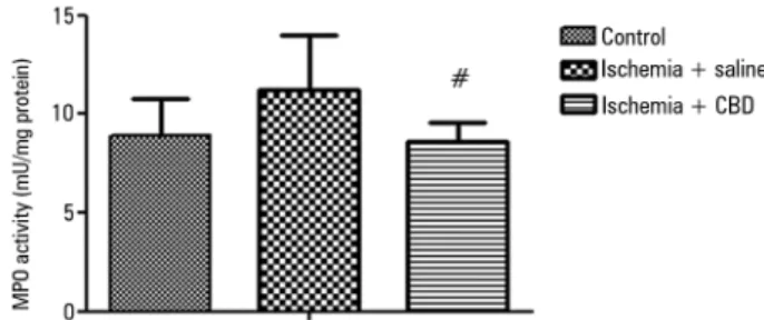 Figure 1 - The effect of cannabidiol treatment on myeloperoxidase activity after  renal ischemia reperfusion injury