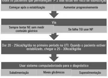 Figura 1 - Fluxograma para obter efetividade do suporte nutricional em pacientes  críticos