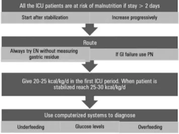 Figure 1 - Flow chart to achieve nutritional support effectiveness in critically ill  patients