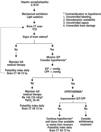 Figure 2 - Suggested algorithm for managing acute liver failure and hepatic  encephalopathy