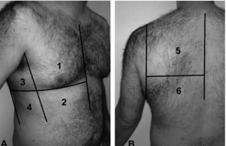 Figure 1 - Lung ultrasound score.