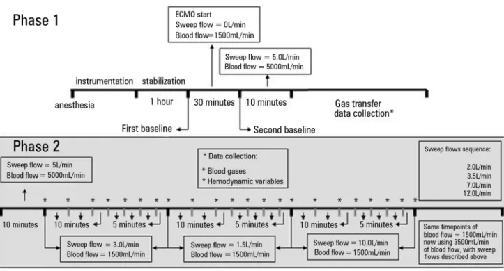 Figure 1 - Timeline of the entire study.  The gray ground illustrates the sequence of the current analysis