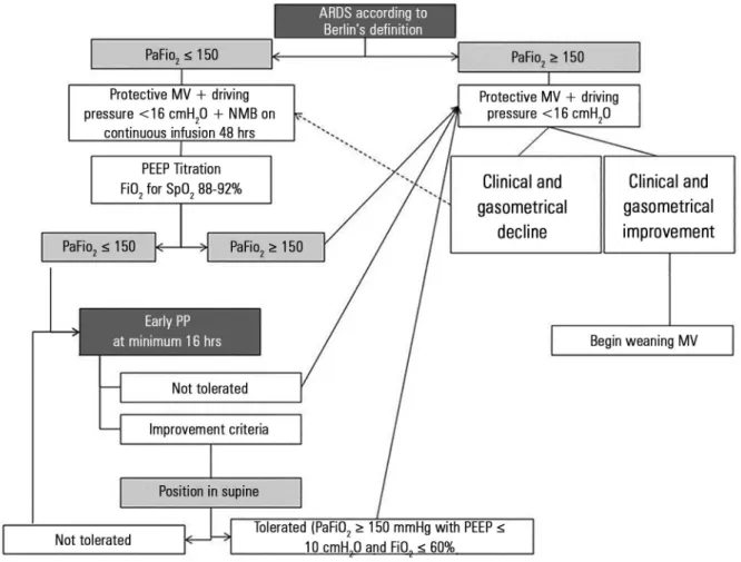Figure 3 - Decision-making algorithm for implementing prone position in patients with acute respiratory distress syndrome