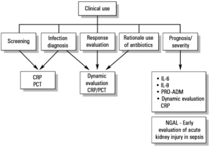 Figure 1 - Biomarkers in pediatric sepsis.  CRP - C-reactive protein; PCT - procalcitonin; IL-6 -  interleukin 6; IL-8 - interleukin 8; NGAL - human neutrophil gelatinase.