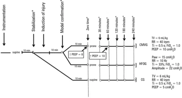 Figure 1 - Experimental protocol and distribution of animals according to the type of ventilation used