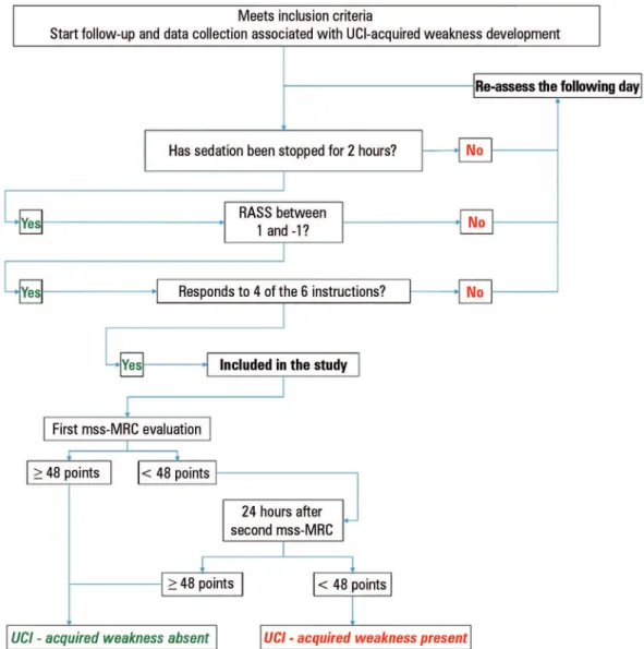 Figure 1 - Flowchart of the procedures performed in this study.  ICU - intensive care unit; mss-MRC - muscular strength scale of the Medical Research Council.