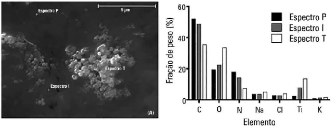 Figura 3 - Imagens de microscopia de varredura eletrônica (magnificação: x 4.000; tensão ultraelevada: 20 kV) de células de  Pseudomonas aeruginosa não tratadas (A) e células de Pseudomonas aeruginosa tratadas (B) com utilização de irradiação com luz  fluo