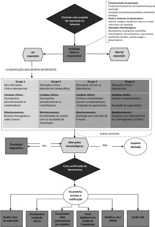 Figura 1 Fluxograma do manejo clínico  de trabalhadores expostos ao benzeno segundo conduta e classificação