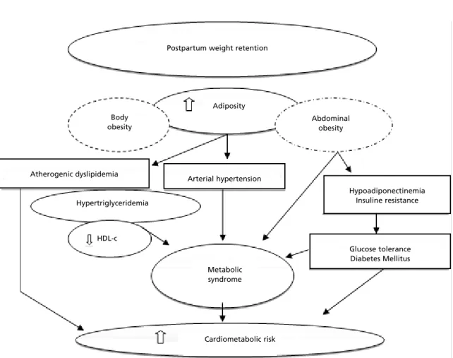 Figure 2 represents a flowchart describing the rela- rela-tionships among postpartum weight retention and clinical  and  metabolic  disorders