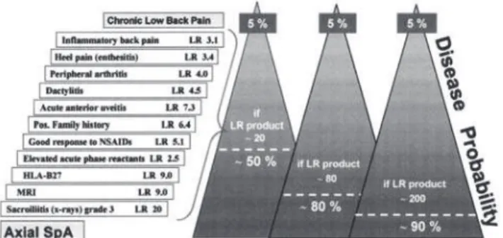 Figura 1 – Esta figura descreve os parâmetros clínicos, radiológicos e laboratoriais  a serem avaliados em pacientes com dor lombar crônica e seu respectivo “peso” 