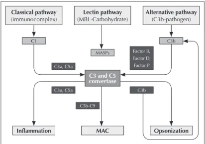 Figure 1. Complement may be initiated through the classic pathway, alternative pathway  and lectin pathway