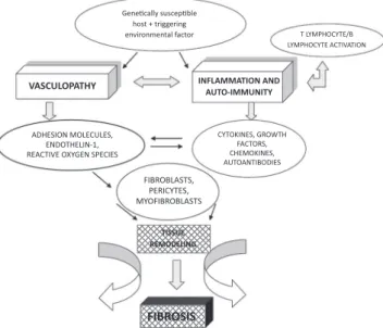 Fig. 1 – Physiopathogenic mechanisms of systemic sclerosis: 