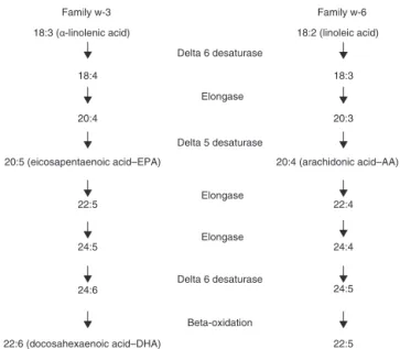 Figure 1 – Omega-3 and omega-6 fatty-acid metabolism Adapted from Leonard et al ., 2004