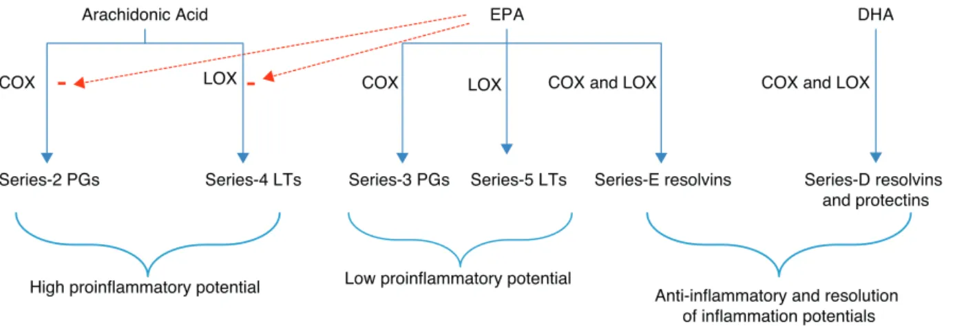 Figure 2 – Syntheses and actions of lipid mediators produced by AA, EPA, and DHA