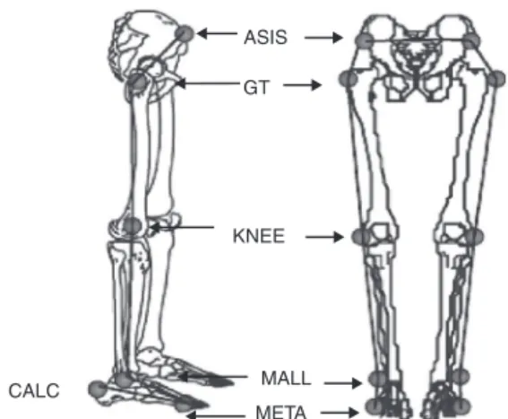 Figure 1 – Body landmarks and angular displacement conventions. Representation of the anatomical landmarks, body segments, joints and movement convention: ASIS  -anterior superior iliac crest, GT - the most prominent protuberance of the greater trochanter,