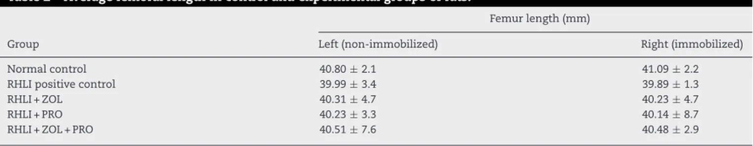 Table 2 – Average femoral length in control and experimental groups of rats.