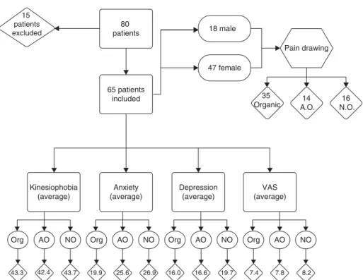 Fig. 2 – Flowchart of patients included and excluded with the distribution in each group and the scores of anxiety, depression, kinesiophobia and Visual Analogic Scale.