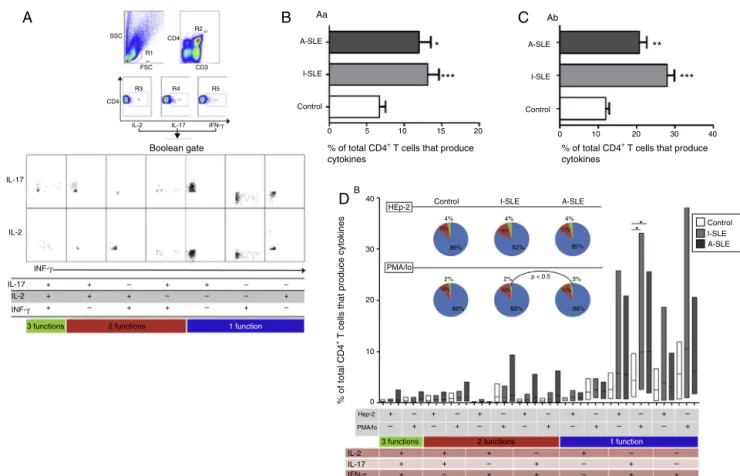Fig. 2 – (A) Multi-parameter strategy of analysis to identify Th17 cells and polyfunctional cells in PBMC of HC stimulated with PMA/Io