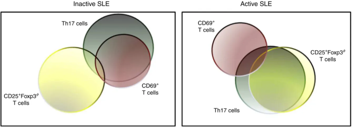 Fig. 5 – Proposed conception of correlation among the relative frequency of Th17 cells and CD4 + CD69 + T cells in patients with I-SLE and correlation among the relative frequency of Th17 cells and CD4 + CD25 + Foxp3 − in patients with A-SLE.