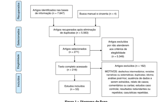 Figura 1 – Diagrama de fluxo.