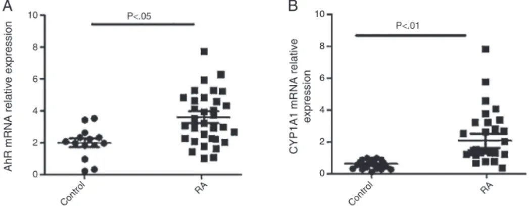 Fig. 2 – Expression levels of AHR and CYP1A1 mRNA in peripheral mononuclear cells from RA and controls.