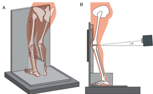 Fig. 1 – Schematic illustration of participant positioning using the novel device. (A) Oblique view; (B) lateral view.