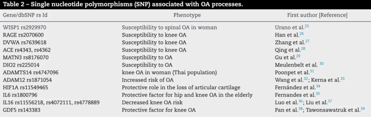 Table 2 – Single nucleotide polymorphisms (SNP) associated with OA processes.