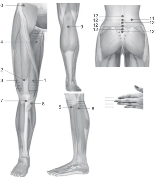 Fig. 1 – The anatomic sites used in the evaluation of the pressure pain threshold (PPT) of the muscles, patellar tendon, and pes anserinus busae in the anterior, posterior, and lateral views