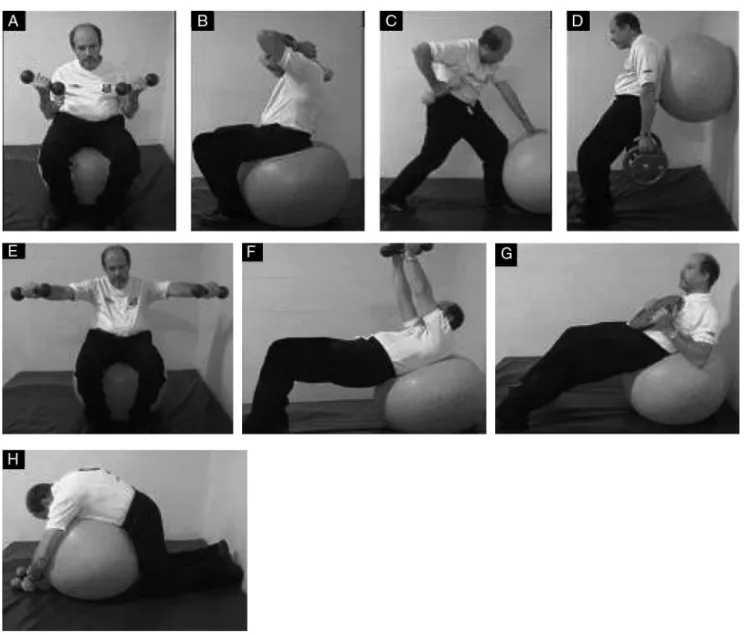 Figura 1 – A, Bíceps – sentado sobre a bola, flexiona e estende o antebrac¸o contra a resistência de peso livre