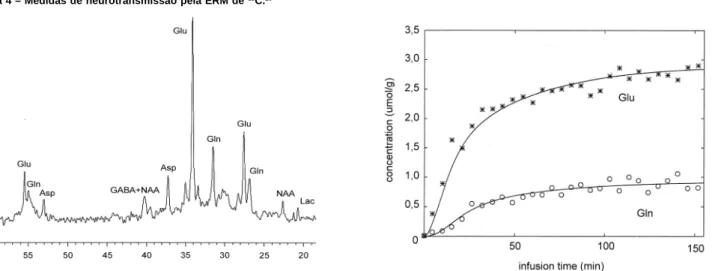 Figura 4 – Medidas de neurotransmissão pela ERM de  13 C. 26