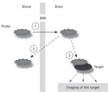 Figure 1 The basic requirements for suitable target-imag- target-imag-ing agents include: (1) prompt crosstarget-imag-ing of the blood-brain  barrier; (2) selective binding to the target molecules; and  (3) clear and contrasting signals between target and 