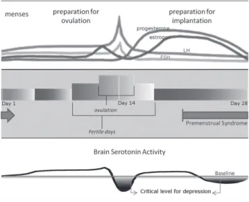 Figure 1  Relationship  between  hormonal  luctuation  and  brain  serotonin activity in predisposed women.