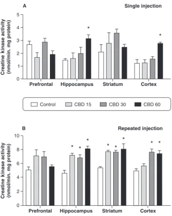 Figure 5 Creatine kinase activity in the prefrontal cortex, hippocampus, striatum and cerebral cortex of rats (n=5 for each group)