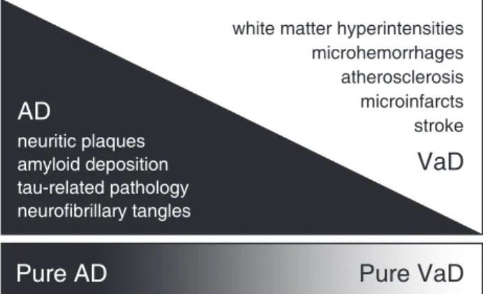 Figure 1 Model of the neuropathological spectrum encom- encom-passing AD and VaD. The color gradient represents the variable composite mixture of AD- and vascular-related pathology in clinical samples
