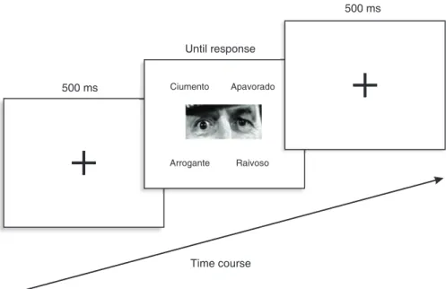 Table 2 presents the frequency of responses in the final application of the RMET for each option of the task
